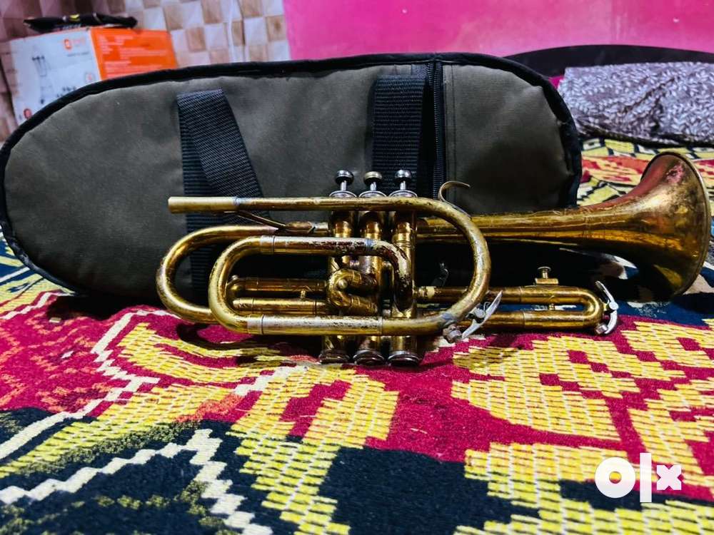 Trumpet olx outlet