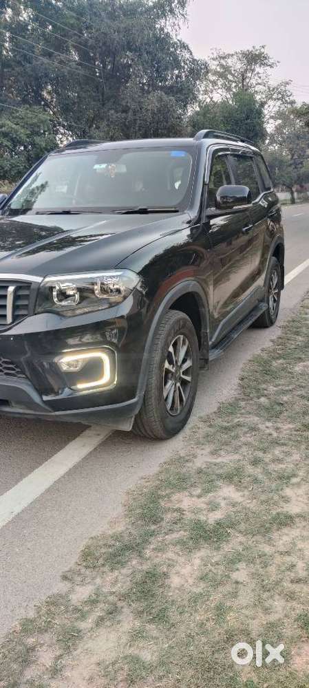 Mahindra Scorpio N Z4 Petrol Mt 7 Str, 2024, Petrol