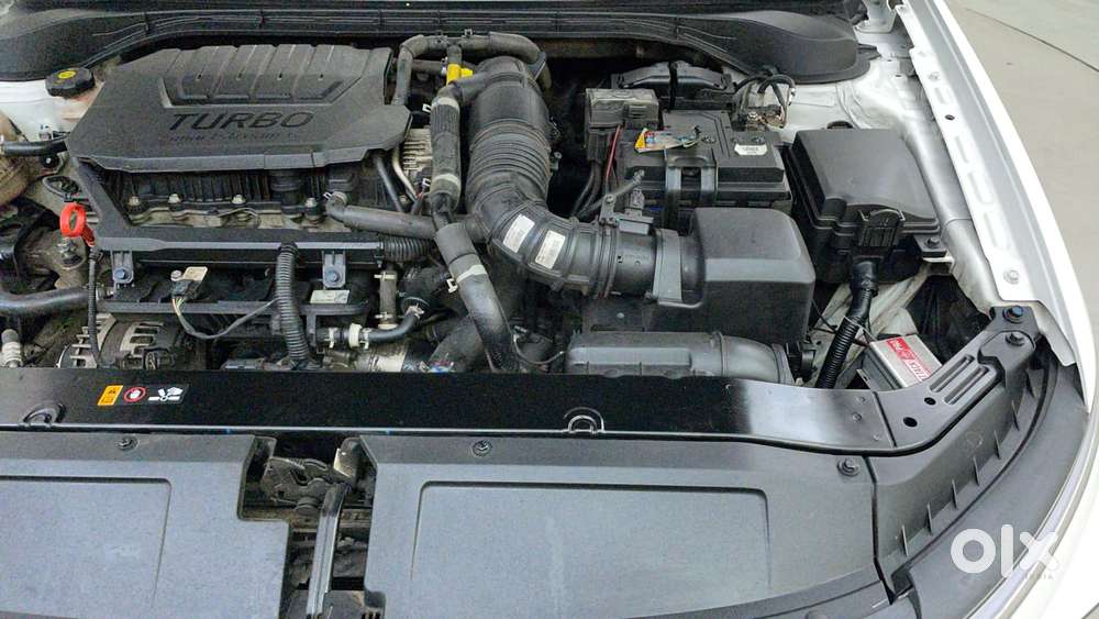 Hyundai Verna 1.5 Sx (o) Turbo Petrol Dct, 2024, Petrol