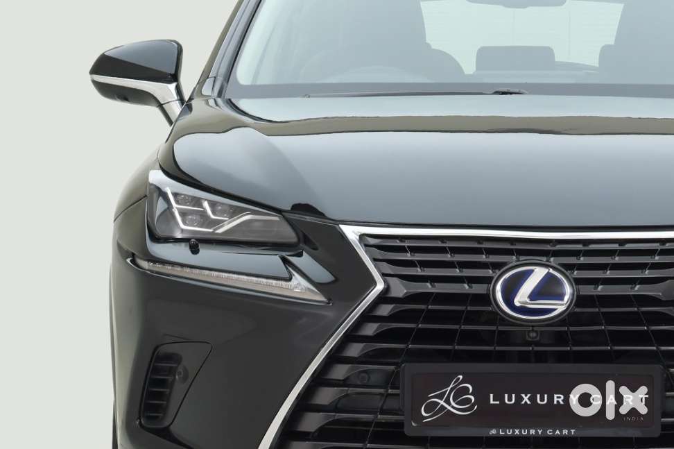 Lexus Nx Lexus-nx-300h-luxury, 2018, Petrol