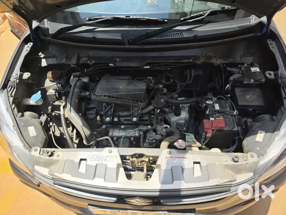 Maruti Suzuki Celerio Zxi 2024 Petrol Automatic Great Condition