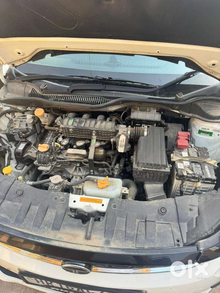 Tata Car Petrol 2024