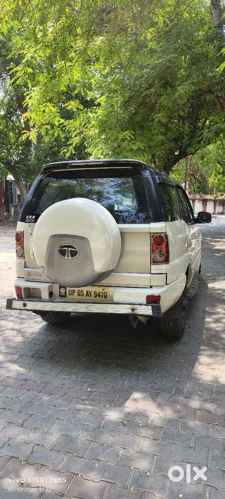 Kurban Shah