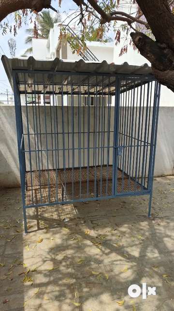 Dog cage shop in olx