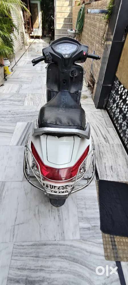 White Colour Hai