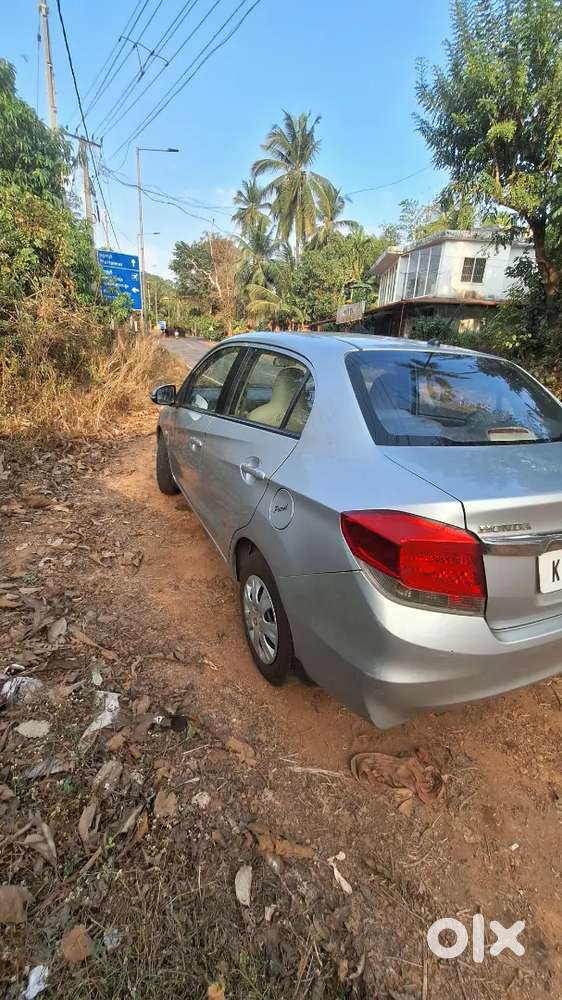 No Replies No Scratches