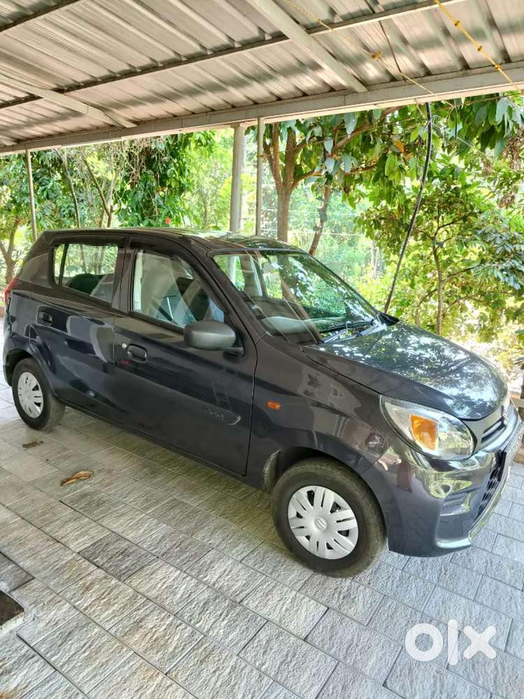 Alto 800 For Sale