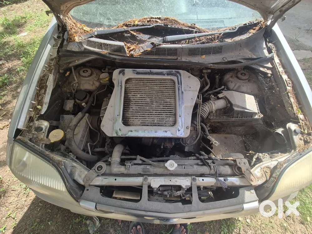Nissan X-trail 2005 Diesel 175000 Km Driven