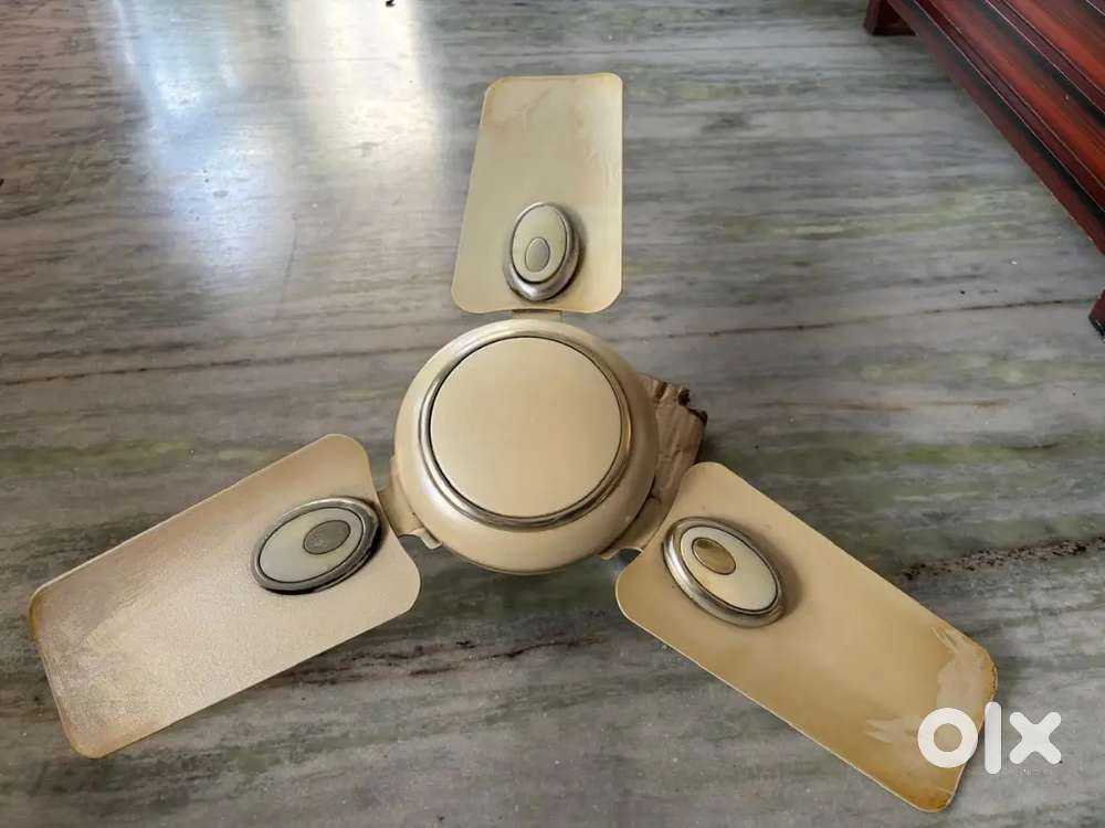 2 ceiling fan 600mm blade