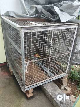 Cage for dogs olx best sale