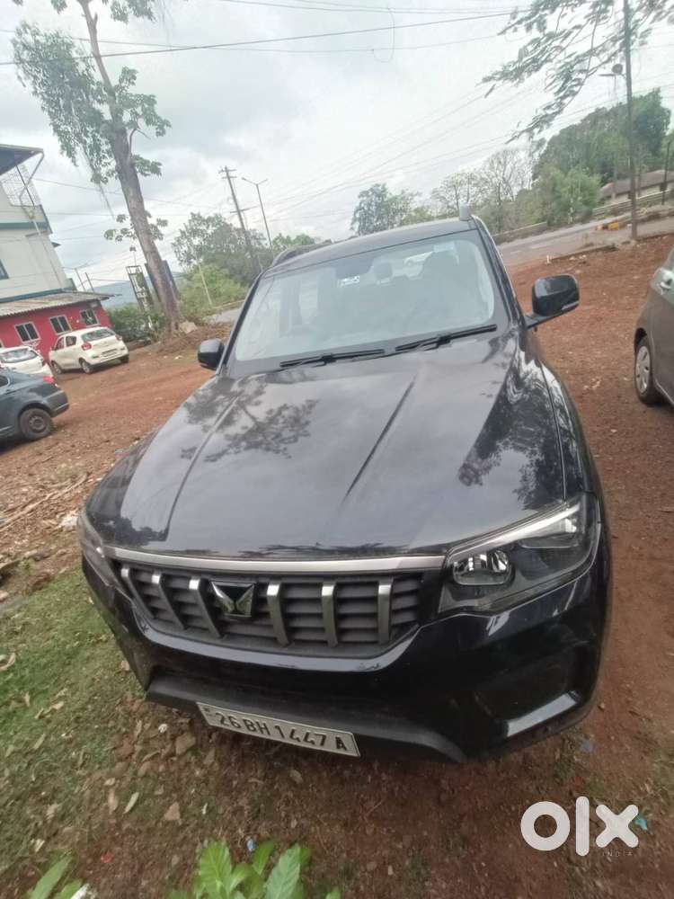 Napolean Black New Scorpio N