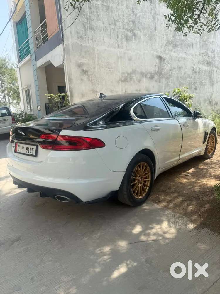 Jaguar 2014