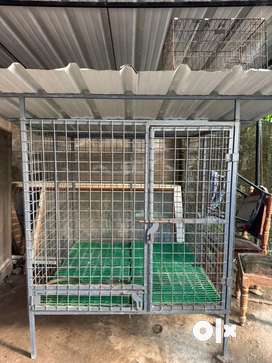 Dog crate olx hotsell