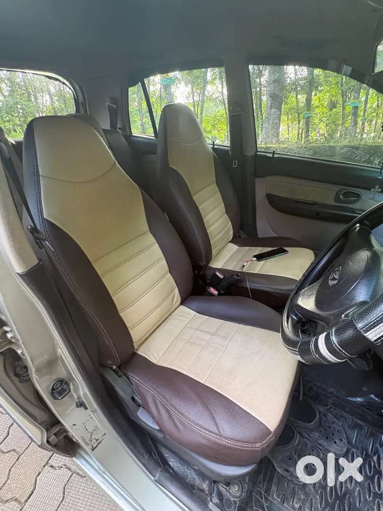 Santro Xing 2009 Model
