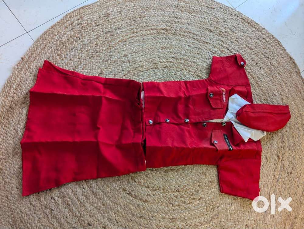 Drepary cloths for kids Garbha dresses