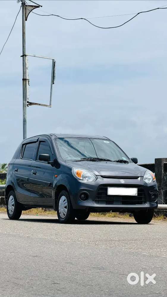 2019( Reg)alto 800