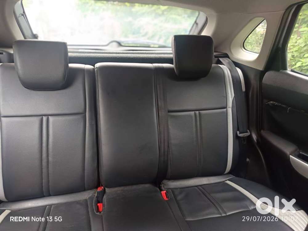 Banelo For Sale
