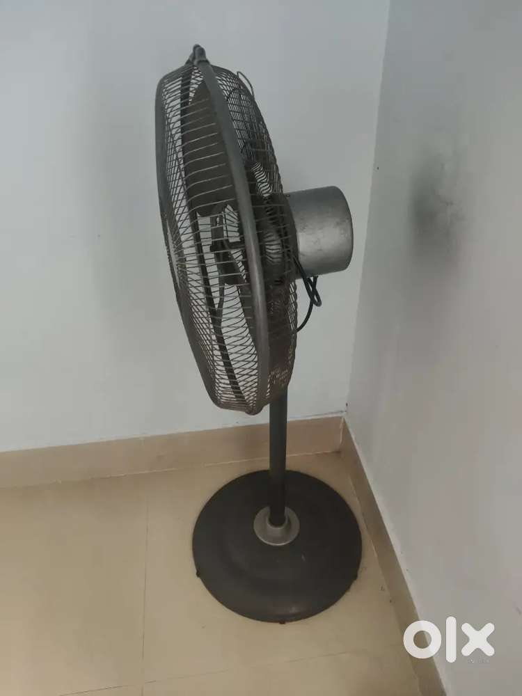 Crompton stand fan