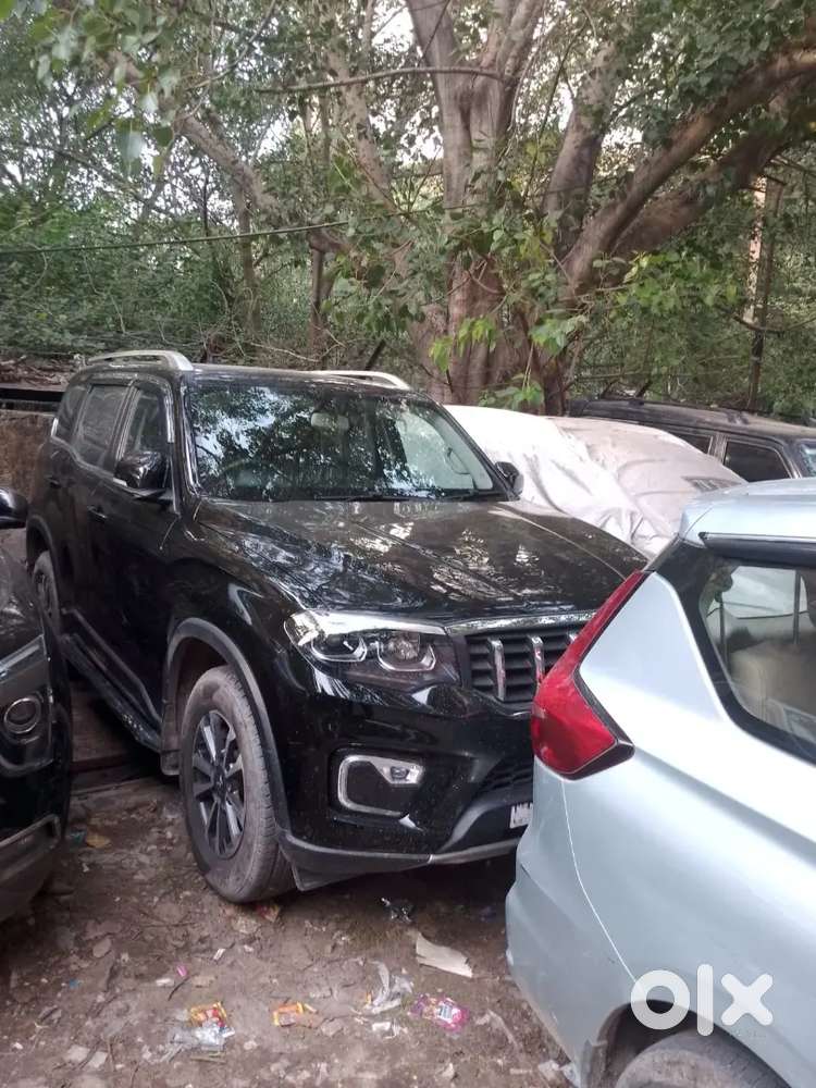50% Price Lease Car Scorpio N