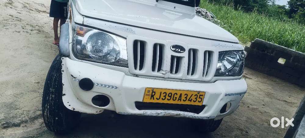Kampni Kandiksn Good Wikl