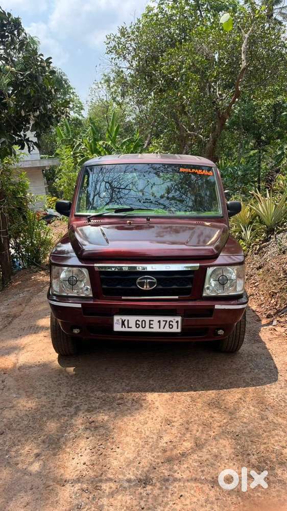 Sumo Gold Well Maintained