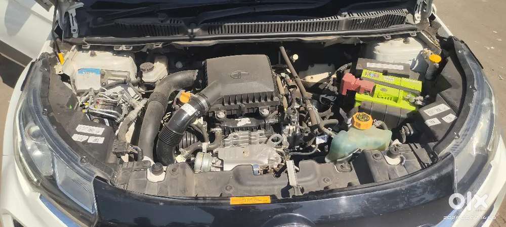 Tata Nexon 2024 Petrol Well Maintained