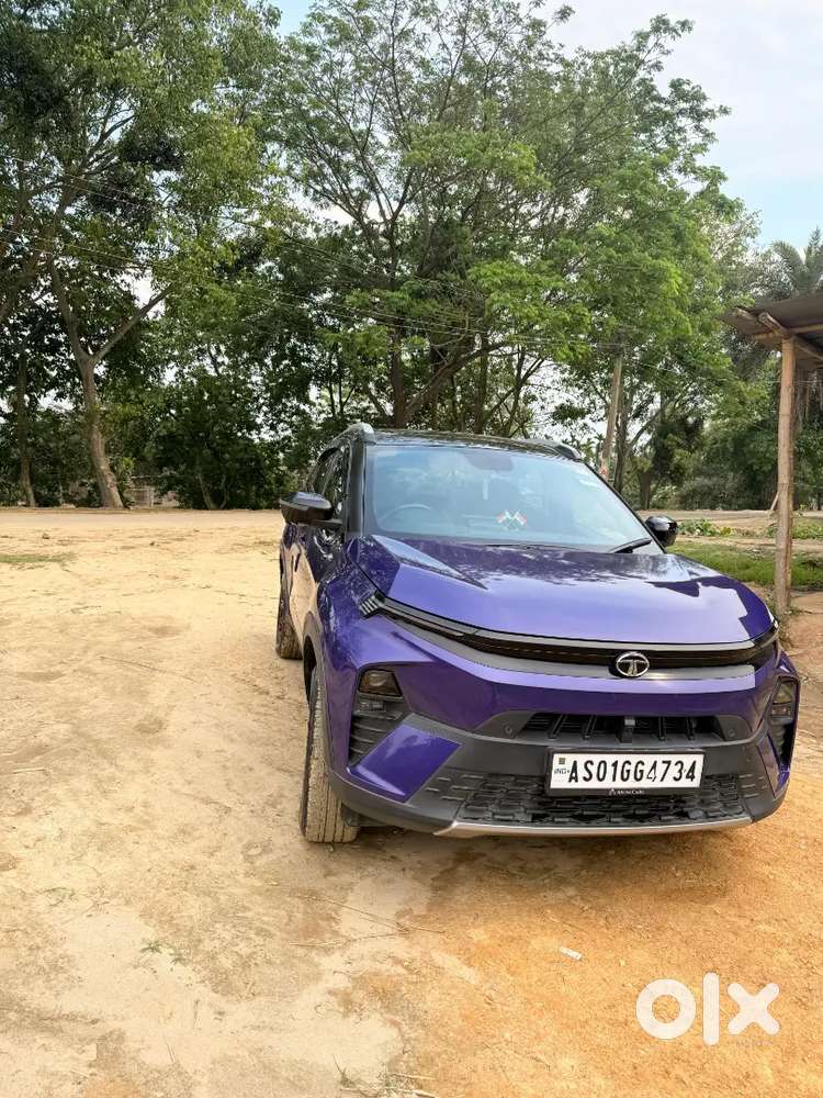 Tata Nexon 2025 Petrol 25377 Km Driven