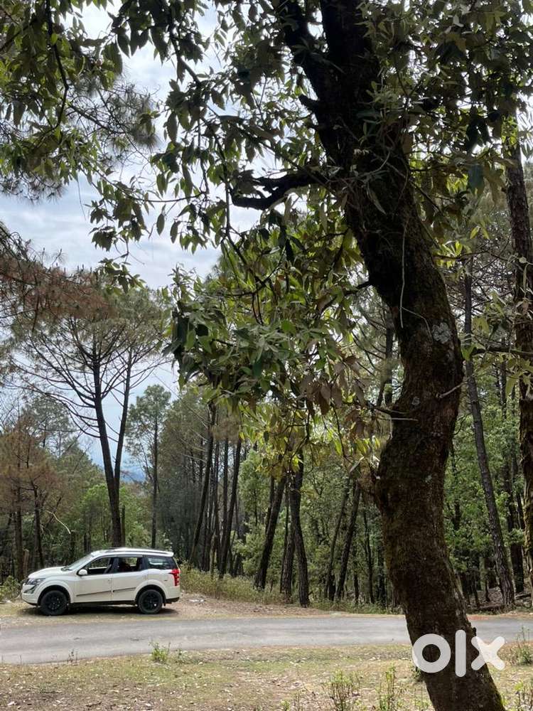 Mahindra Xuv500 2019 Diesel Well Maintained