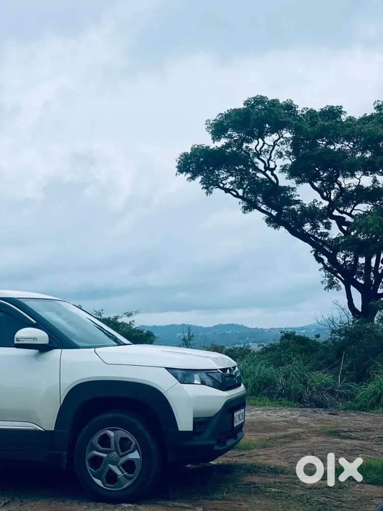 Maruti Brezza 2024 Hybrid 1st Owner