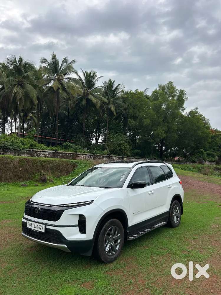 Tata Safari Plus S 2024 Model