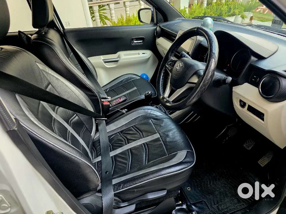 Top Model Ignis Alpha In Perfect Condition.