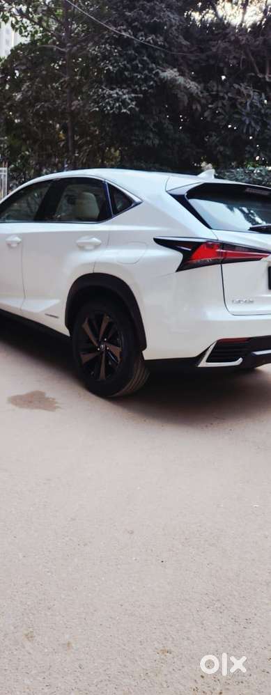 Lexus Nx Lexus-nx-300h-luxury, 2018, Petrol