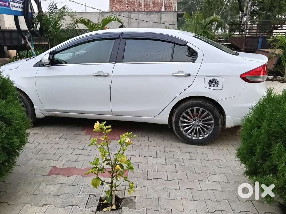 2016 Maruti Suzuki Ciaz Zdi Plus Shvs Diesel