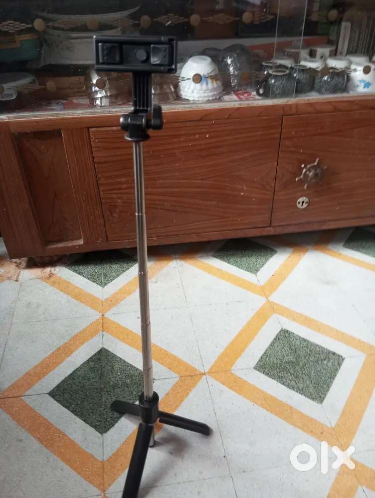 Selfe stick