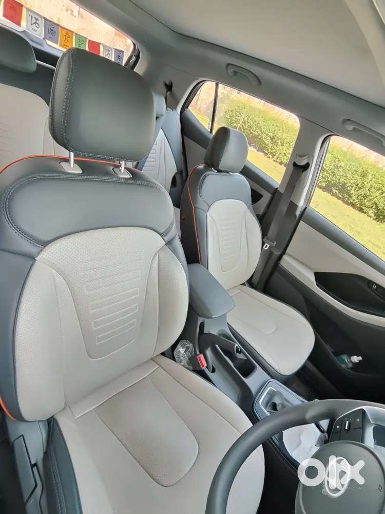 Hyundai Creta 2025 Petrol 4000 Km Driven