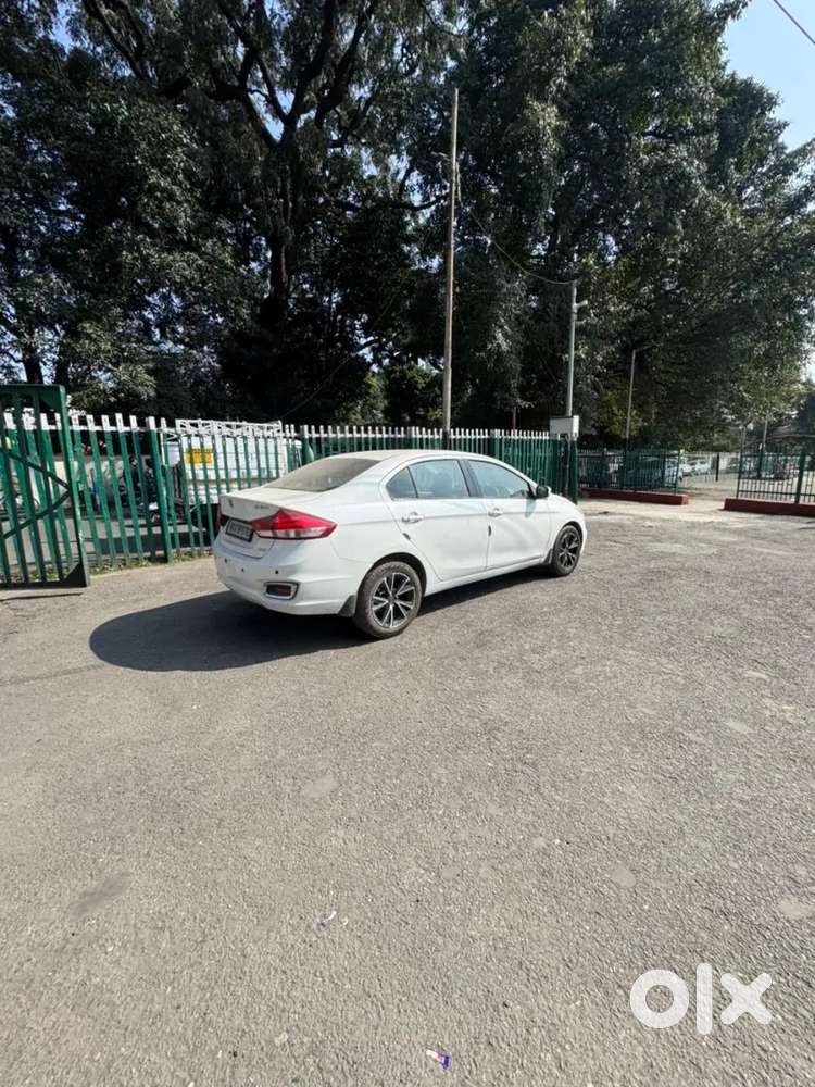 Maruti Suzuki Ciaz 2016 Diesel 87593 Km Driven