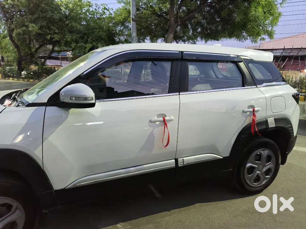 Maruti Suzuki Brezza Ldi 2024 Petrol