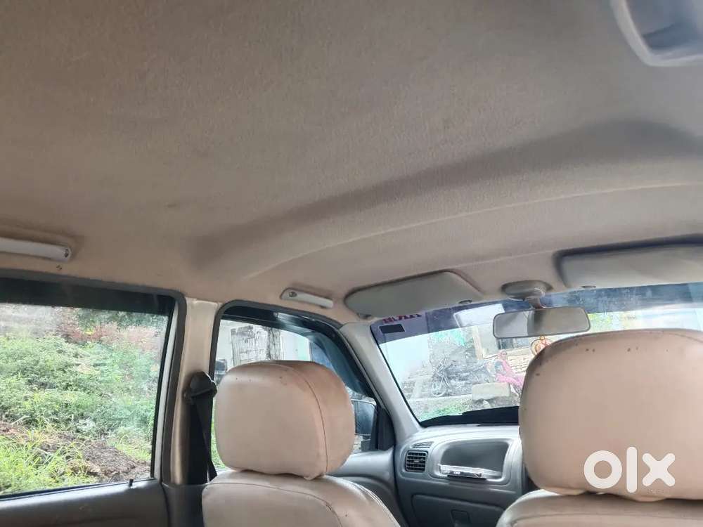 Maruti Suzuki Alto 2010 Petrol Automatic