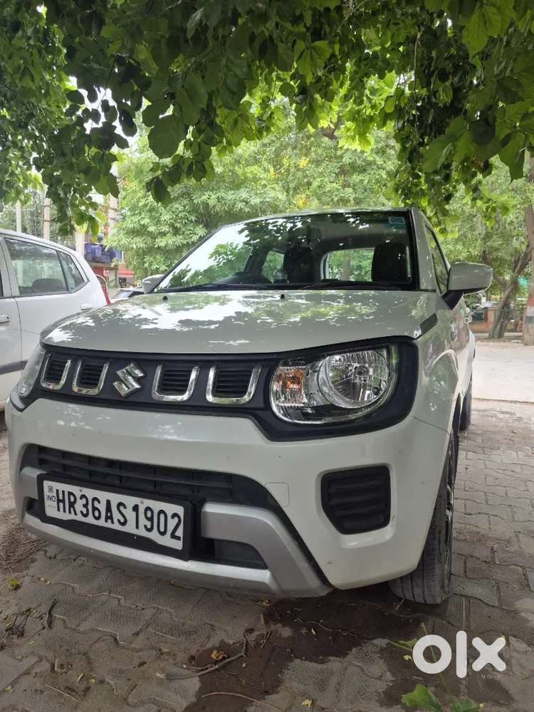 Maruti Suzuki Ignis Sigma 2024 Car