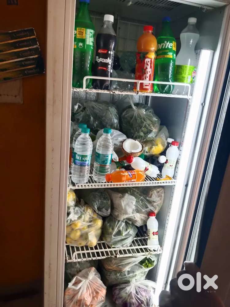 Fridge and freezer
