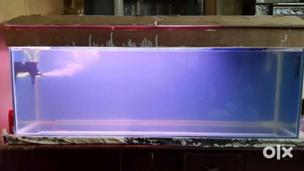 6ft on sale aquarium light