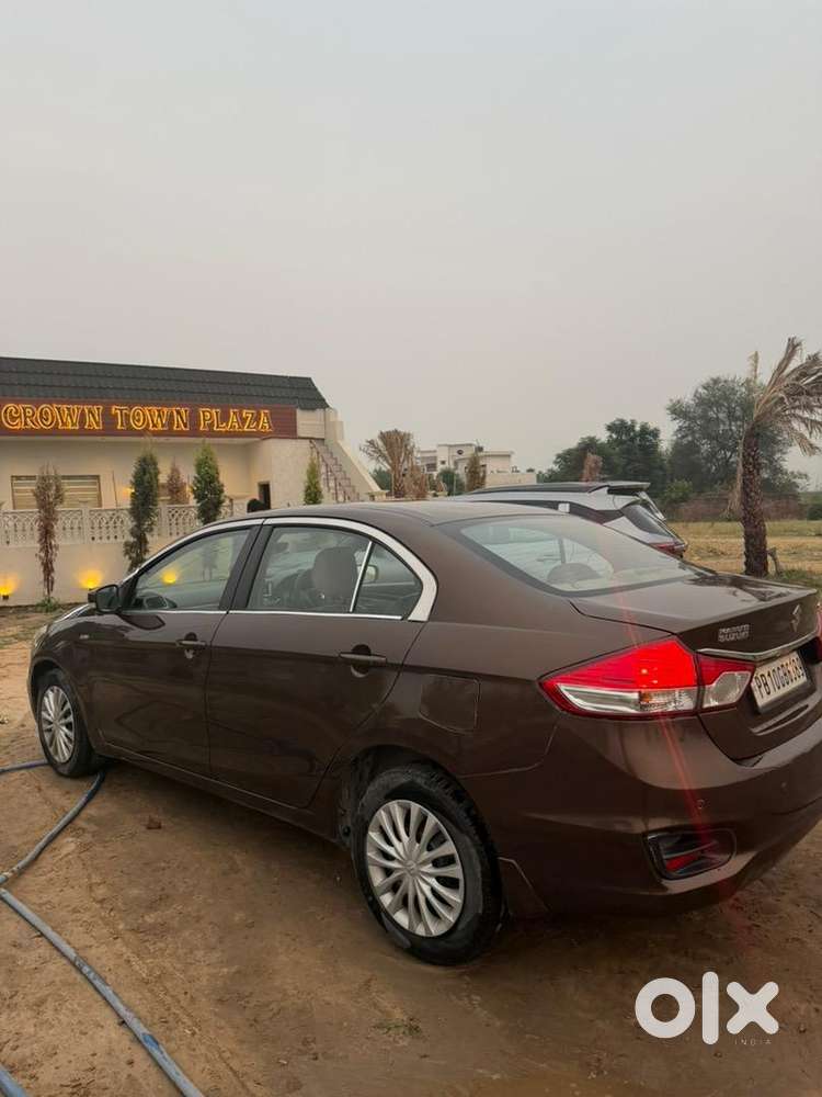 Maruti Suzuki Diesel 2016