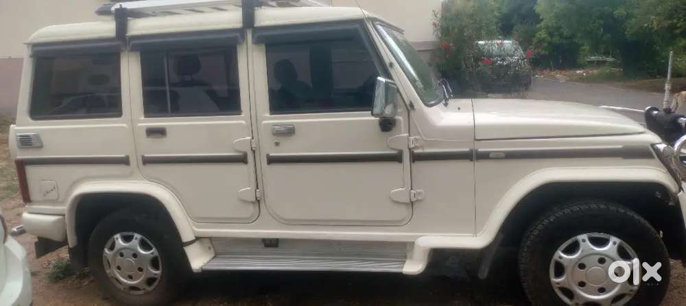 Mint Condition Bolero For Sale