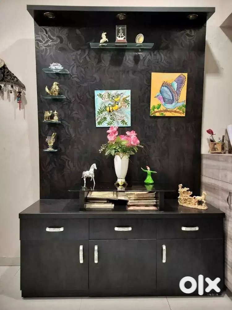 TV Unit cum Showcase