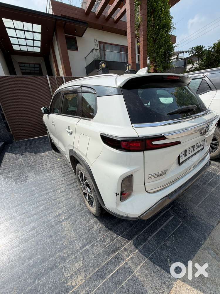 Toyota Urban Cruiser 2024