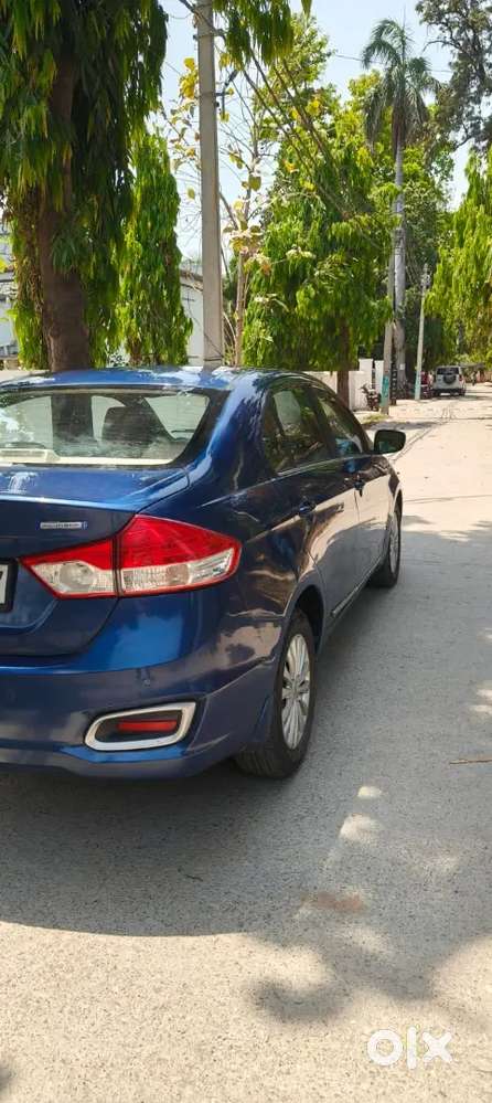 Maruti Suzuki Ciaz 2019 Petrol Good Condition Hybrid