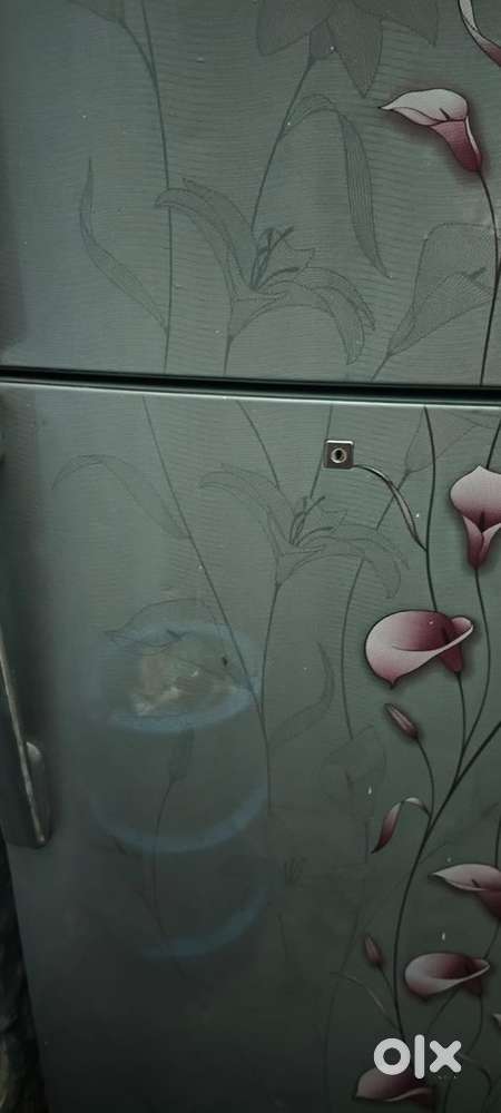Samsung double door