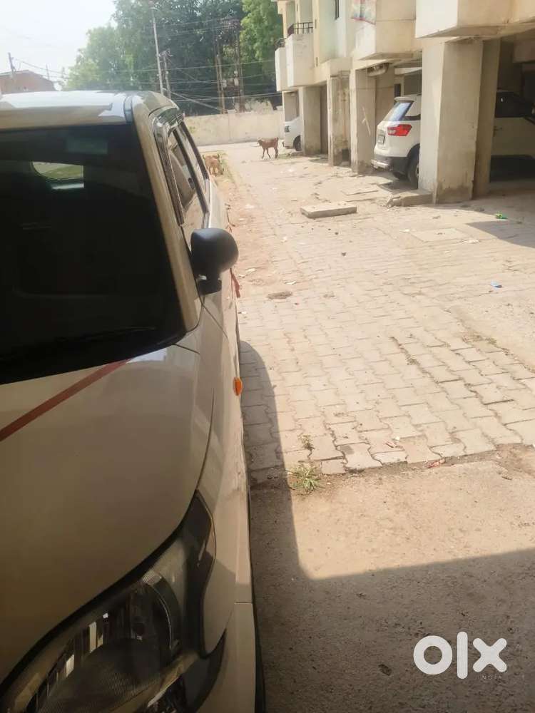 Maruti Suzuki Wagon R 2026 Petrol 9000 Km Driven