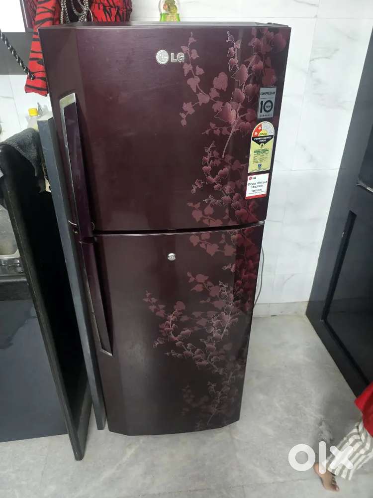 Lg 240 litter freez