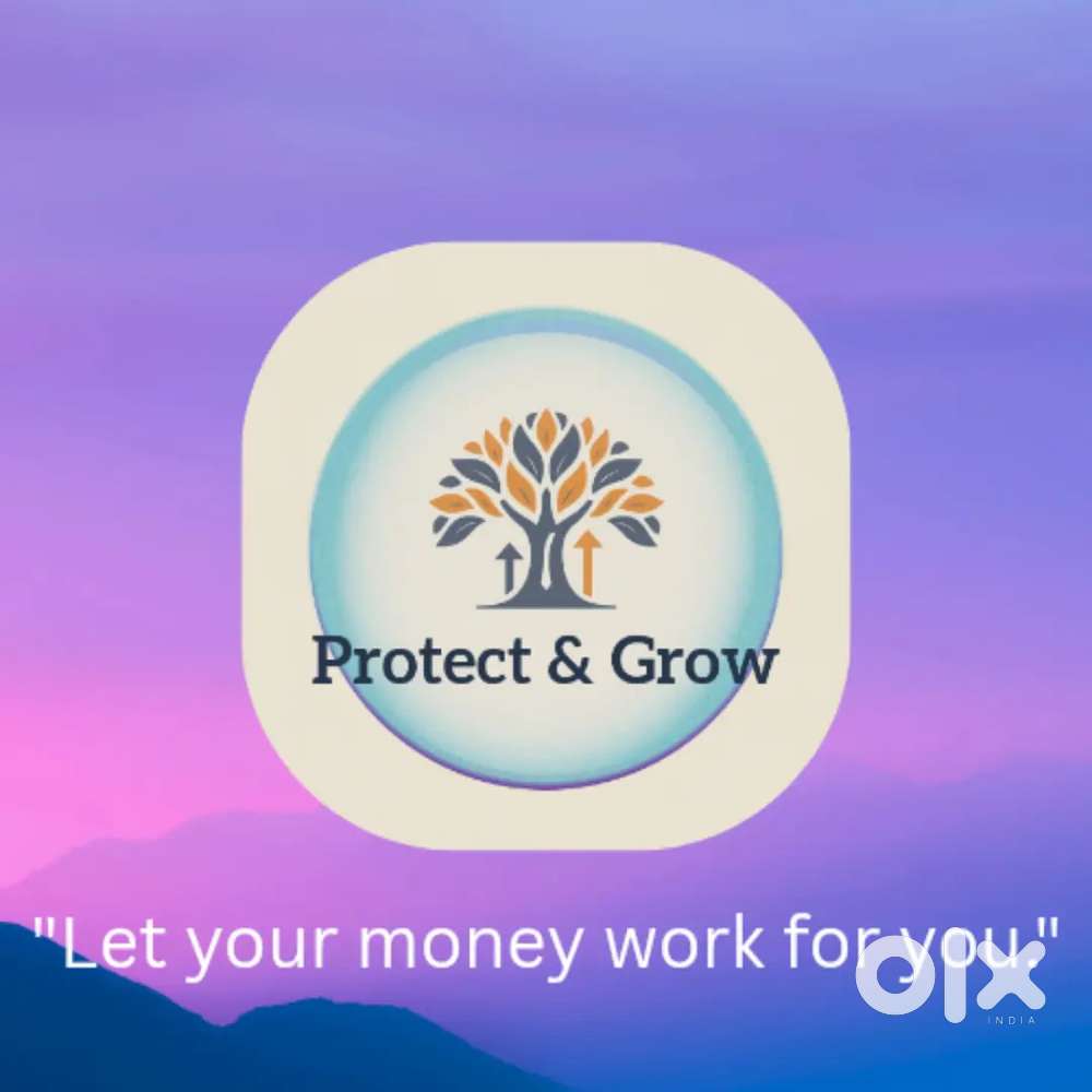 Mutual funds, Insurance (Motor/Health/Life) and Loans.